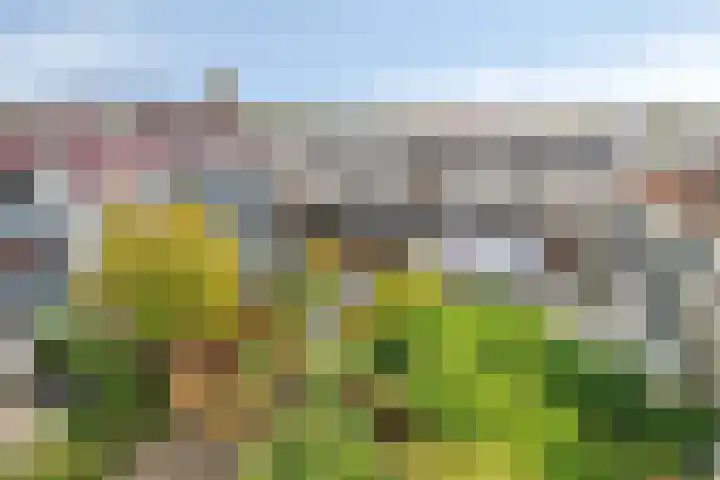 Reidans 60 Capelle aan den IJssel thumbnail 12
