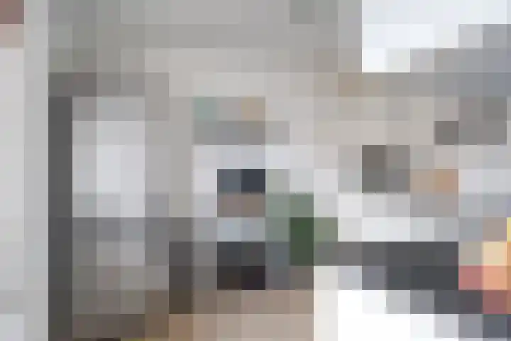 Reidans 60 Capelle aan den IJssel thumbnail 13