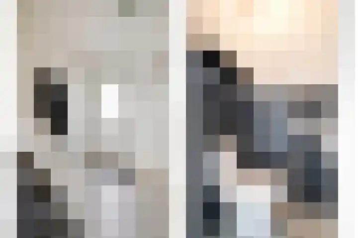 Reidans 60 Capelle aan den IJssel thumbnail 15