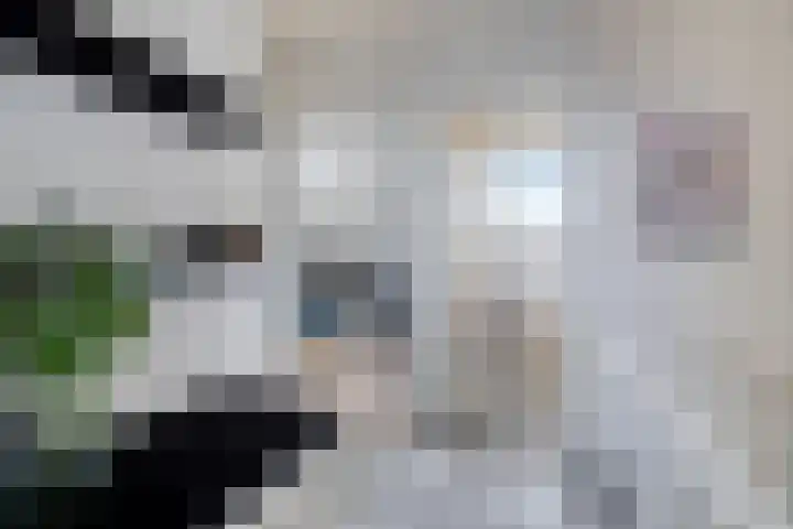 Reidans 60 Capelle aan den IJssel thumbnail 16