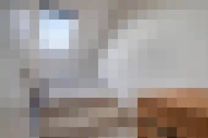 Reidans 60 Capelle aan den IJssel thumbnail 20