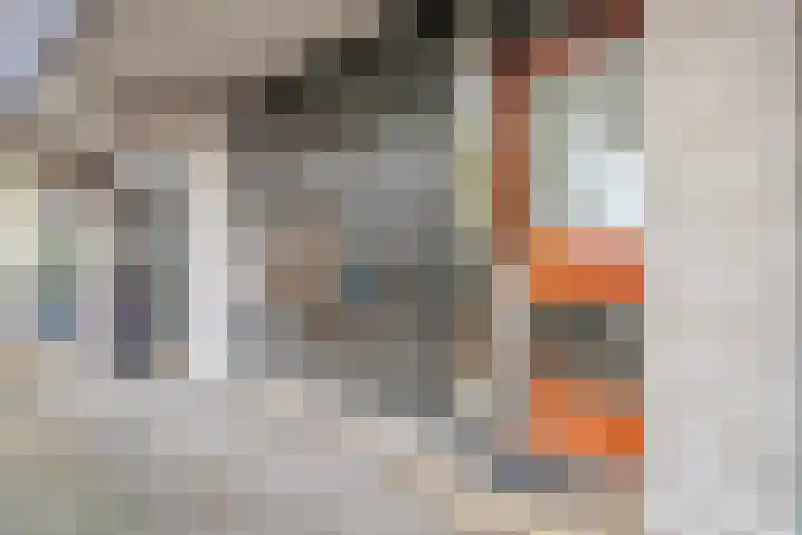 Reidans 60 Capelle aan den IJssel thumbnail 25