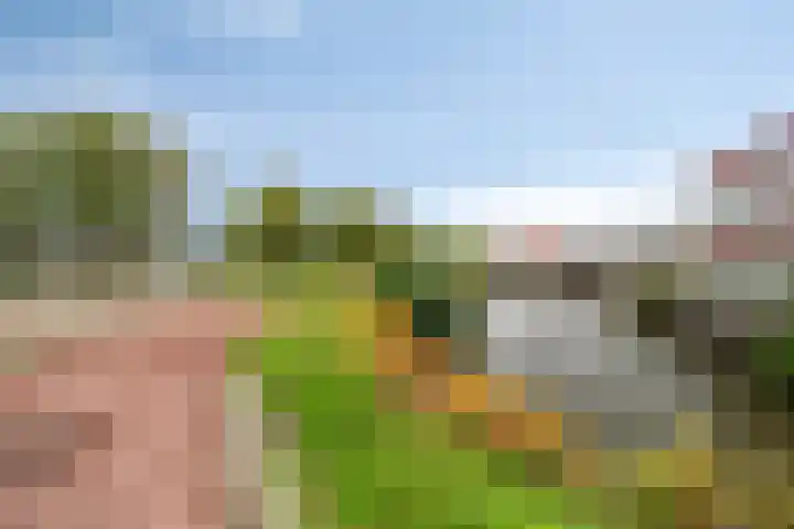 Reidans 60 Capelle aan den IJssel thumbnail 28