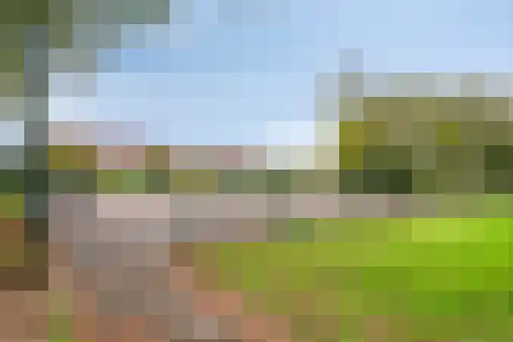 Reidans 60 Capelle aan den IJssel thumbnail 29