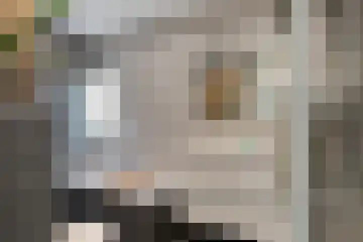 Reidans 60 Capelle aan den IJssel thumbnail 4