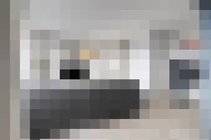 Reidans 60 Capelle aan den IJssel thumbnail 7