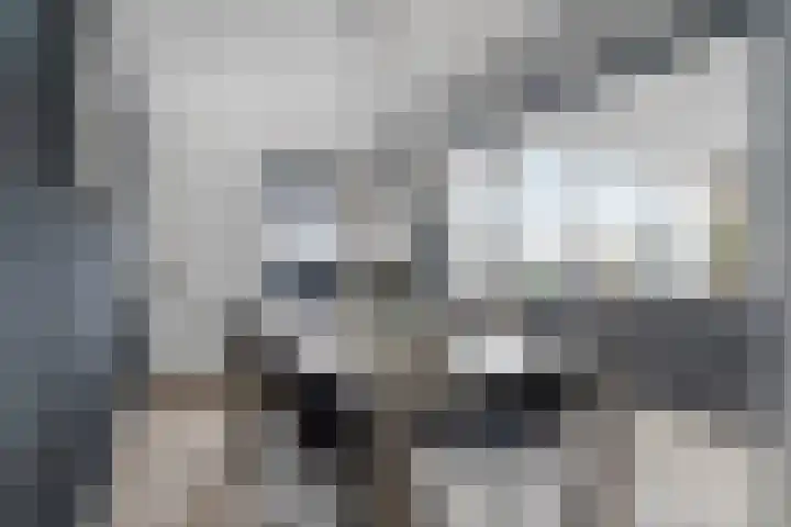 Reidans 60 Capelle aan den IJssel thumbnail 8