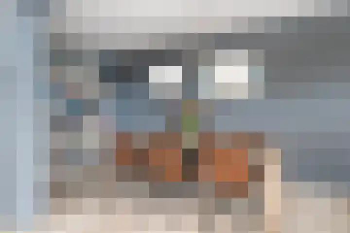 Reidans 60 Capelle aan den IJssel thumbnail 9