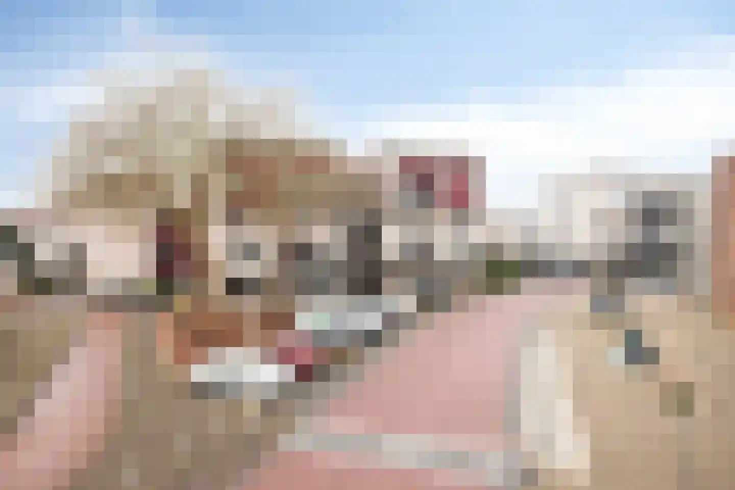 Reidans 62 Capelle aan den IJssel thumbnail 25