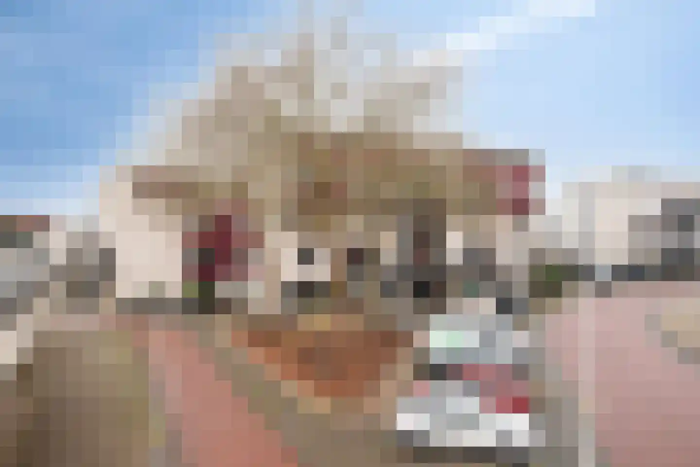 Reidans 62 Capelle aan den IJssel thumbnail 26