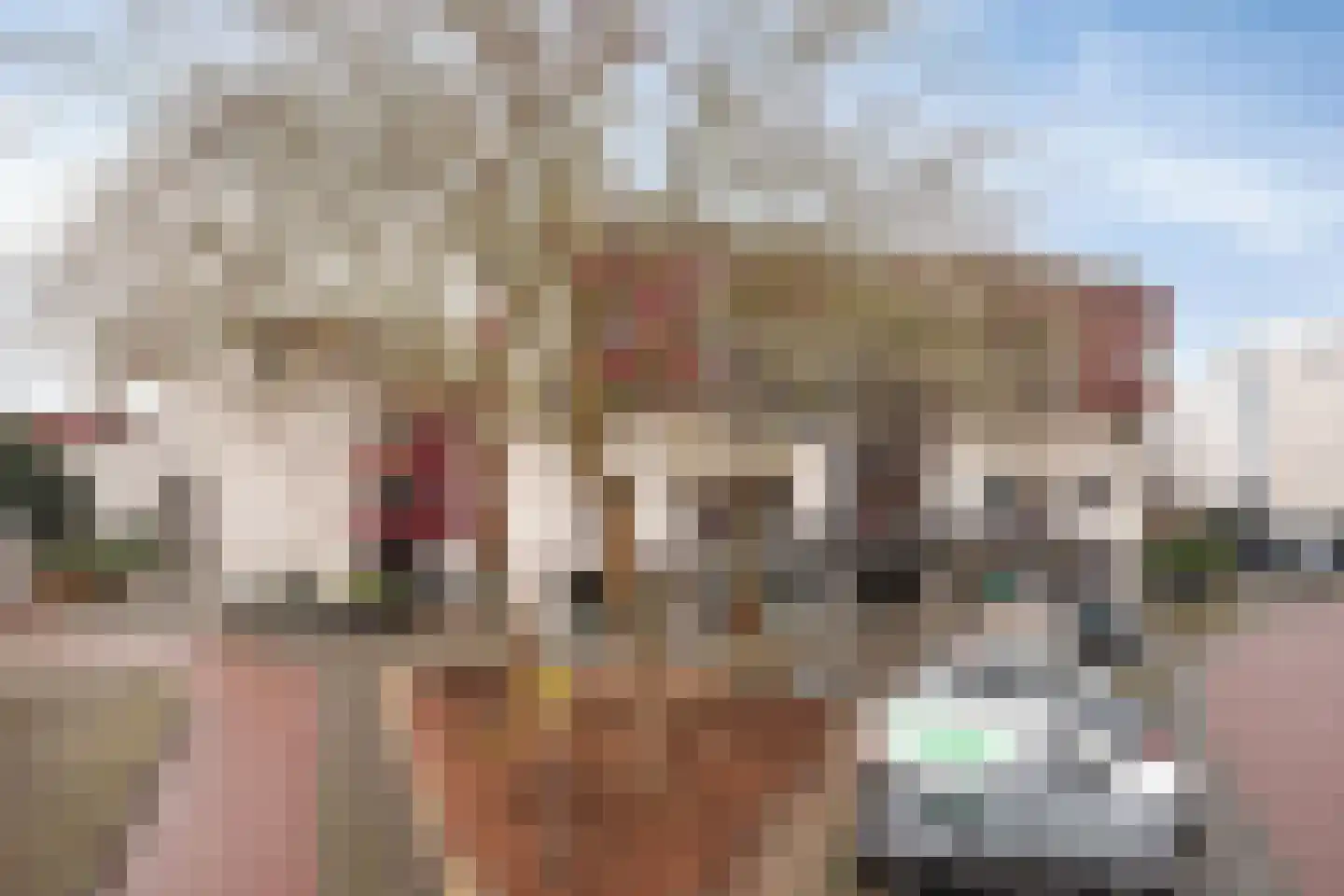 Reidans 62 Capelle aan den IJssel thumbnail 27
