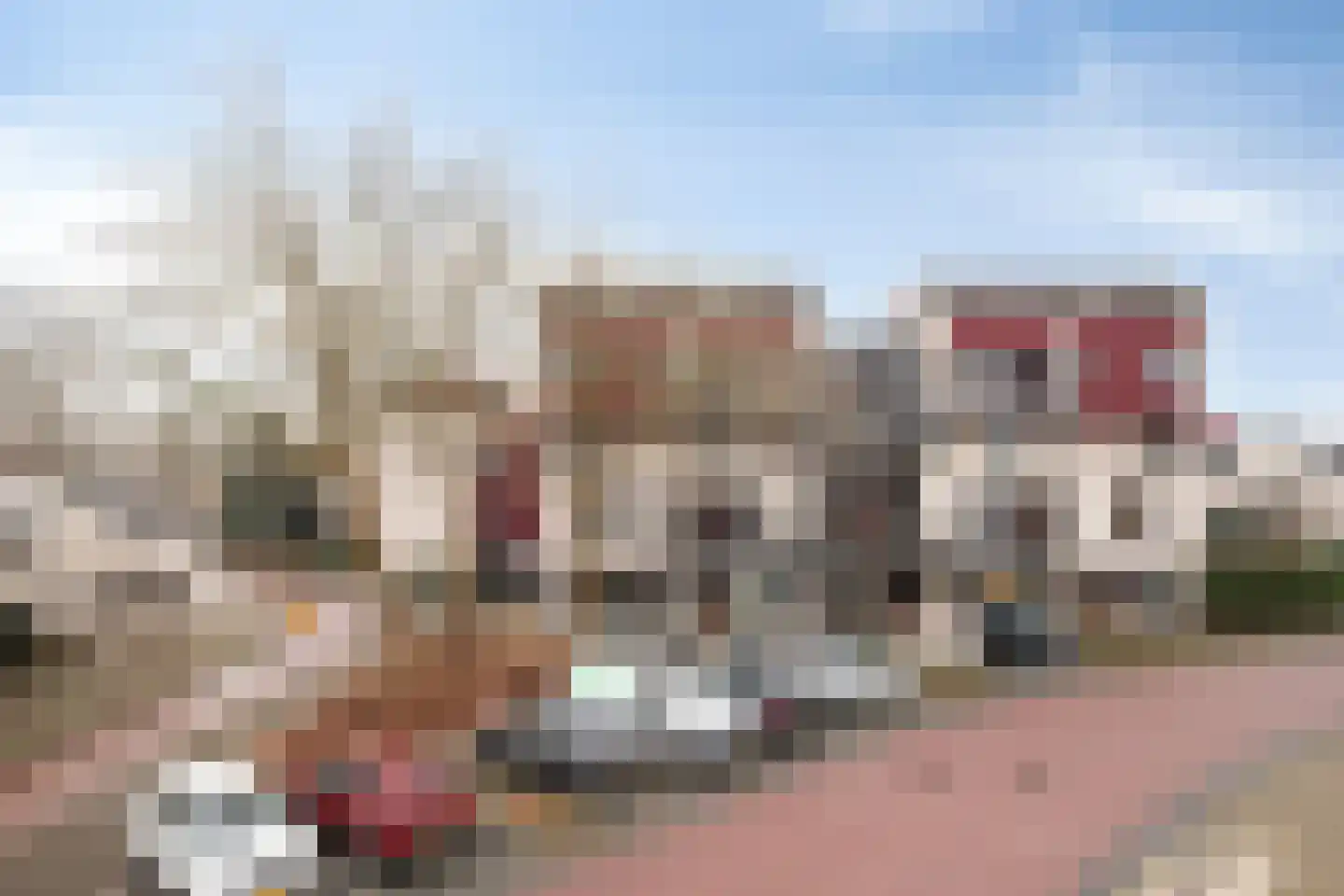 Reidans 62 Capelle aan den IJssel thumbnail 28
