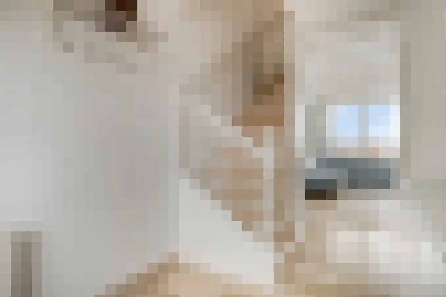 Reidans 62 Capelle aan den IJssel thumbnail 4