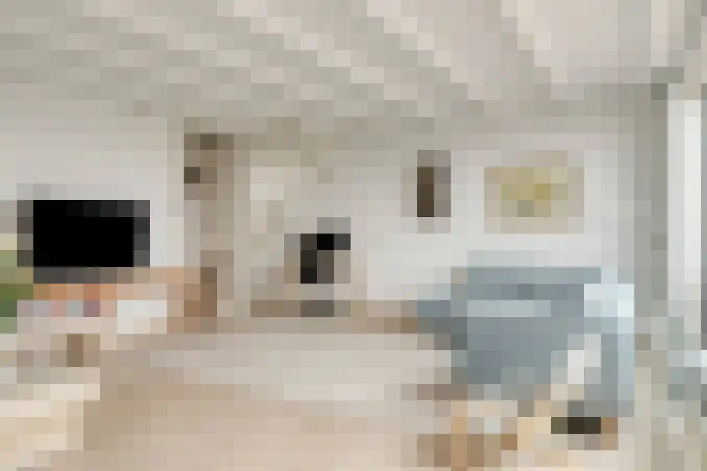 Reidans 62 Capelle aan den IJssel thumbnail 7