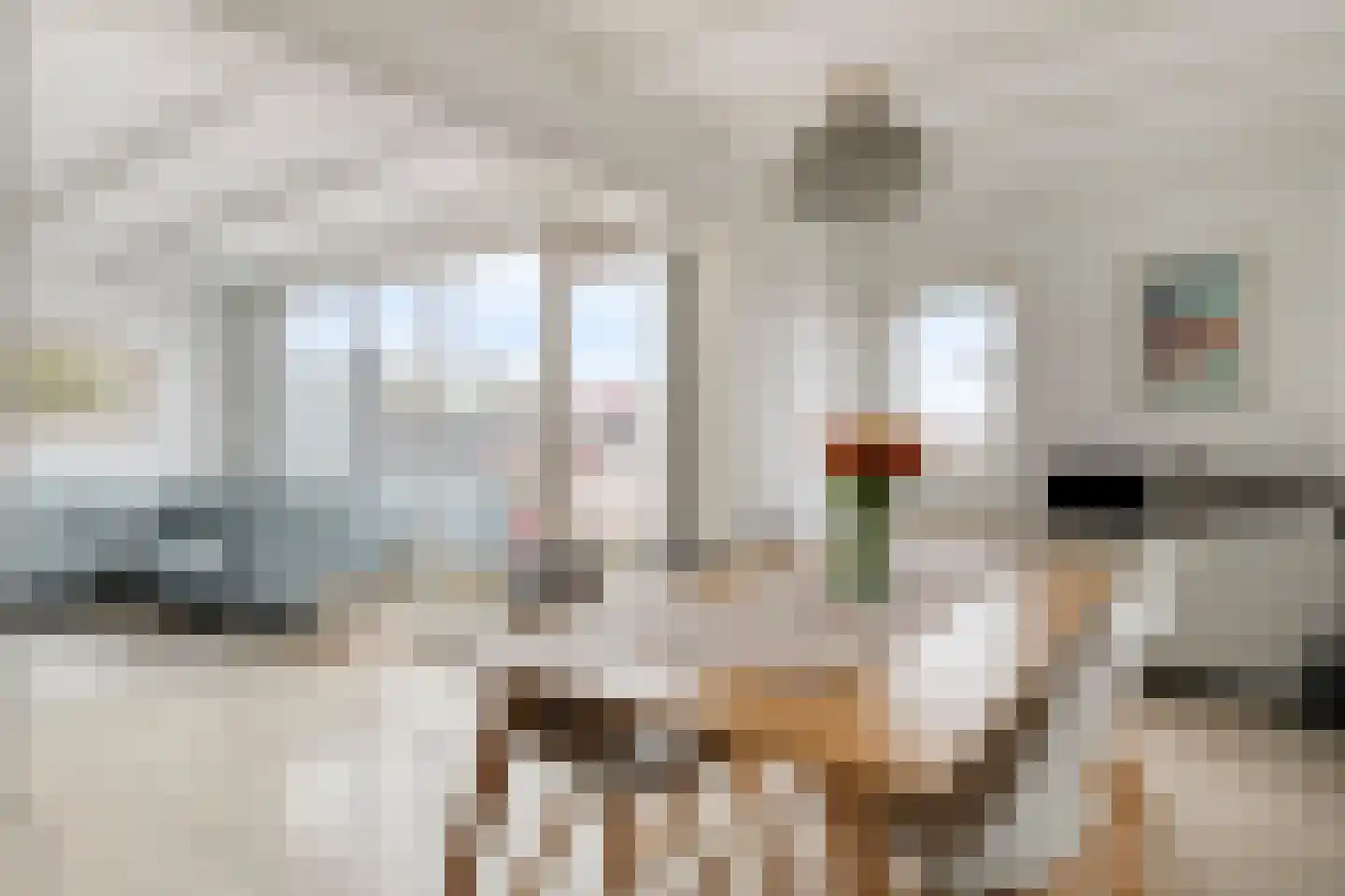 Reidans 62 Capelle aan den IJssel thumbnail 9