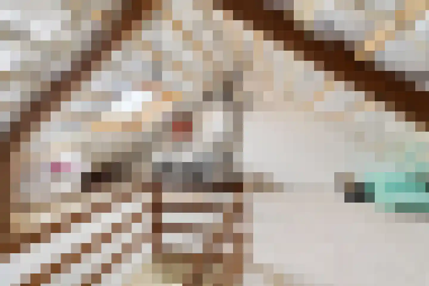 Reiddomp 3 Dokkum thumbnail 26