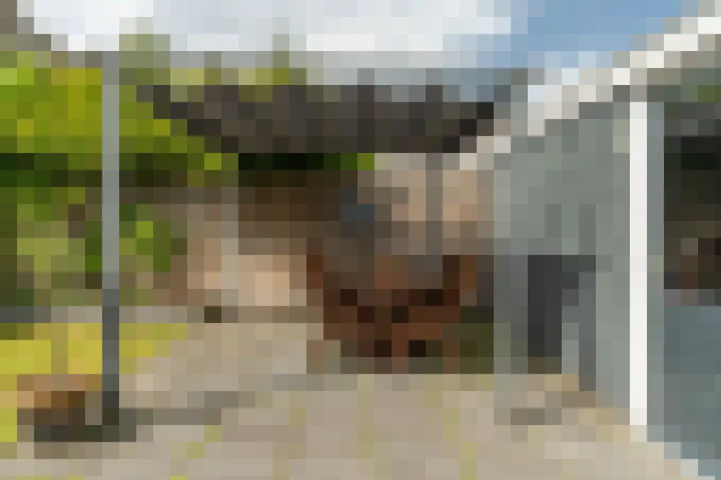 Reiddomp 3 Dokkum thumbnail 31