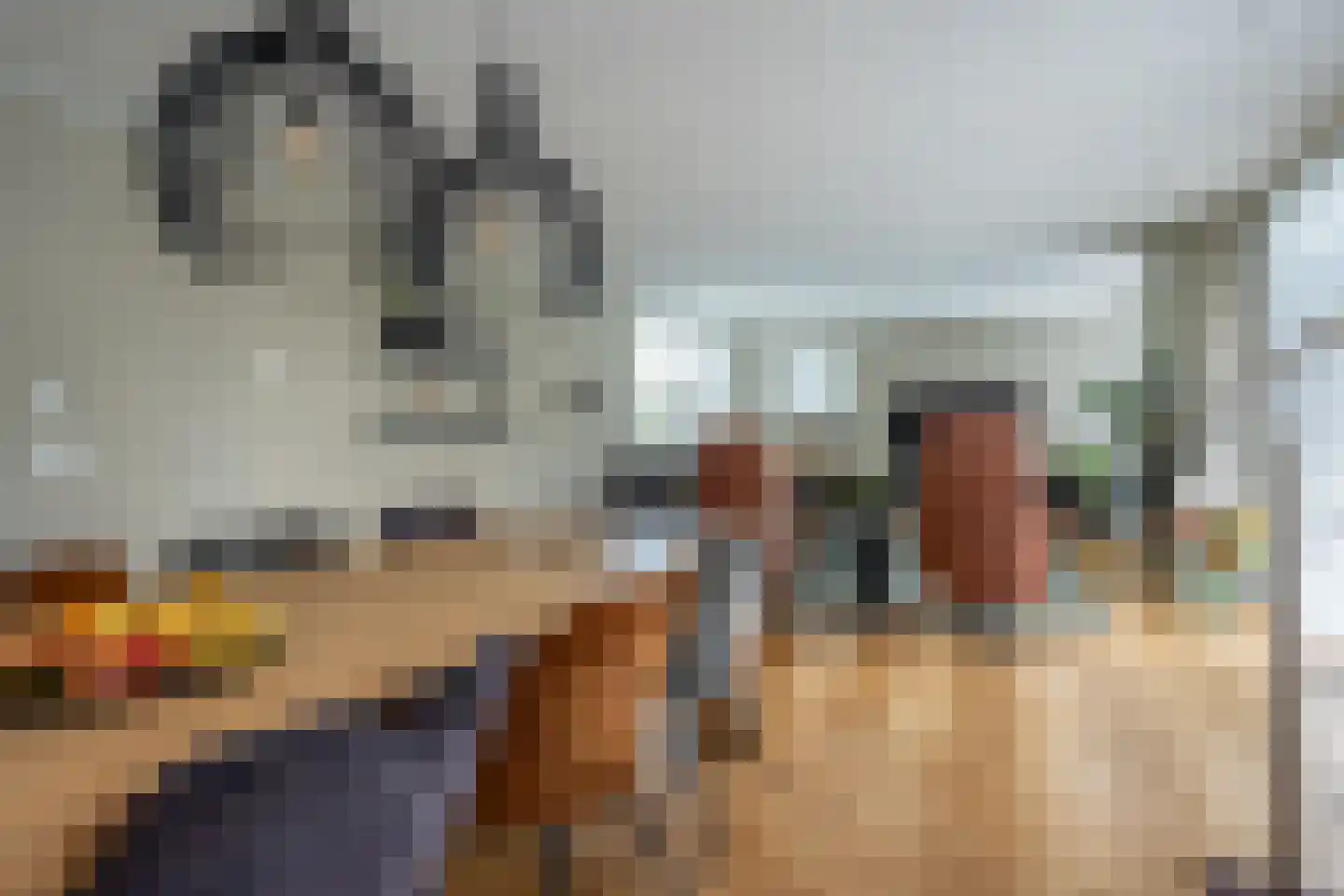 Reider AE 1 Veendam thumbnail 12