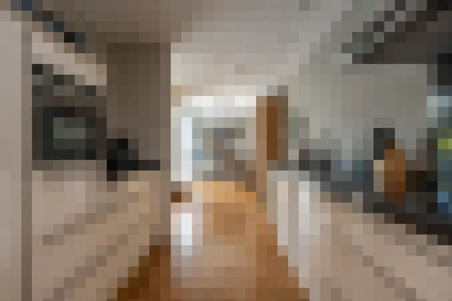 Reider AE 1 Veendam thumbnail 19