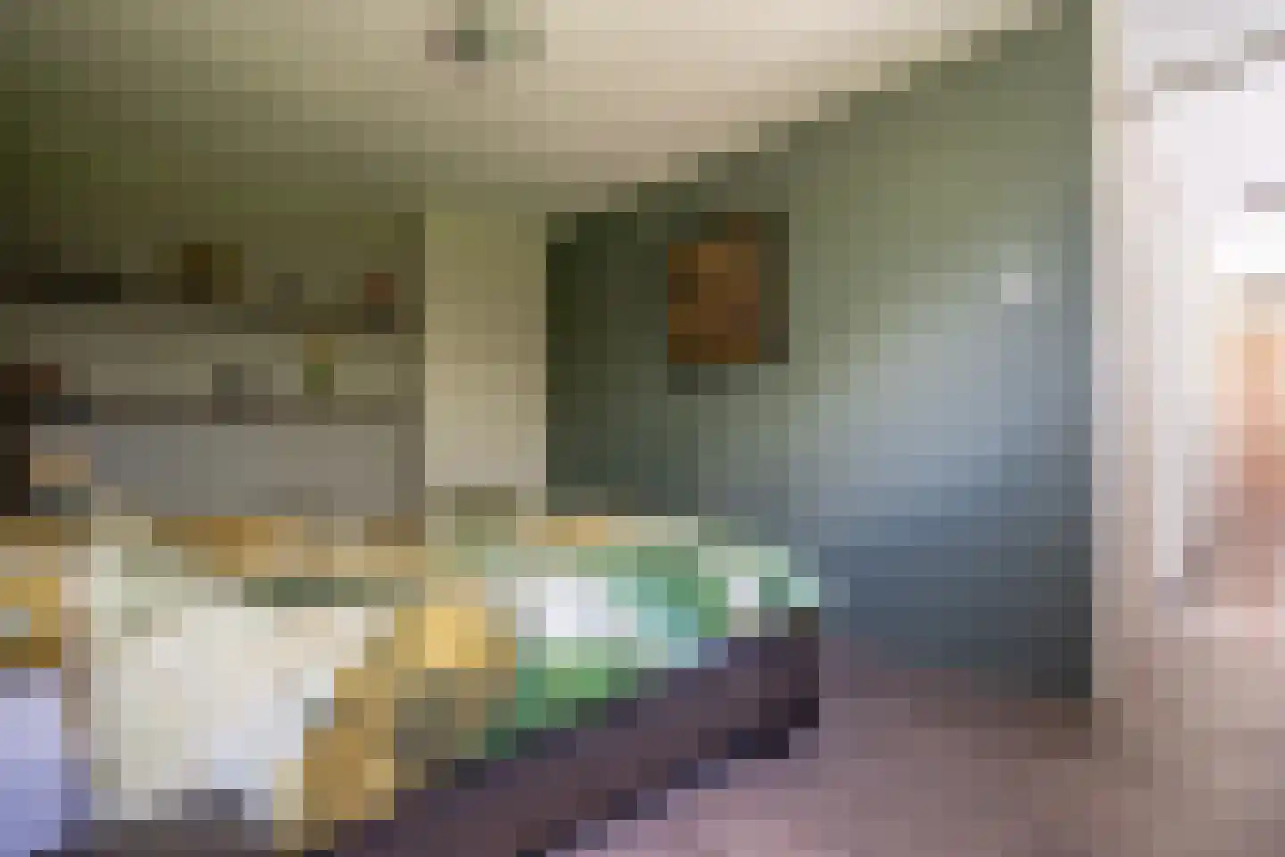 Reider AE 1 Veendam thumbnail 33