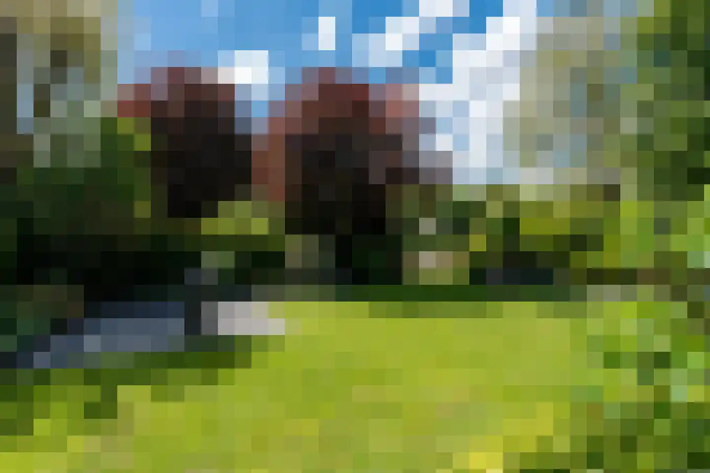 Reider AE 1 Veendam thumbnail 41