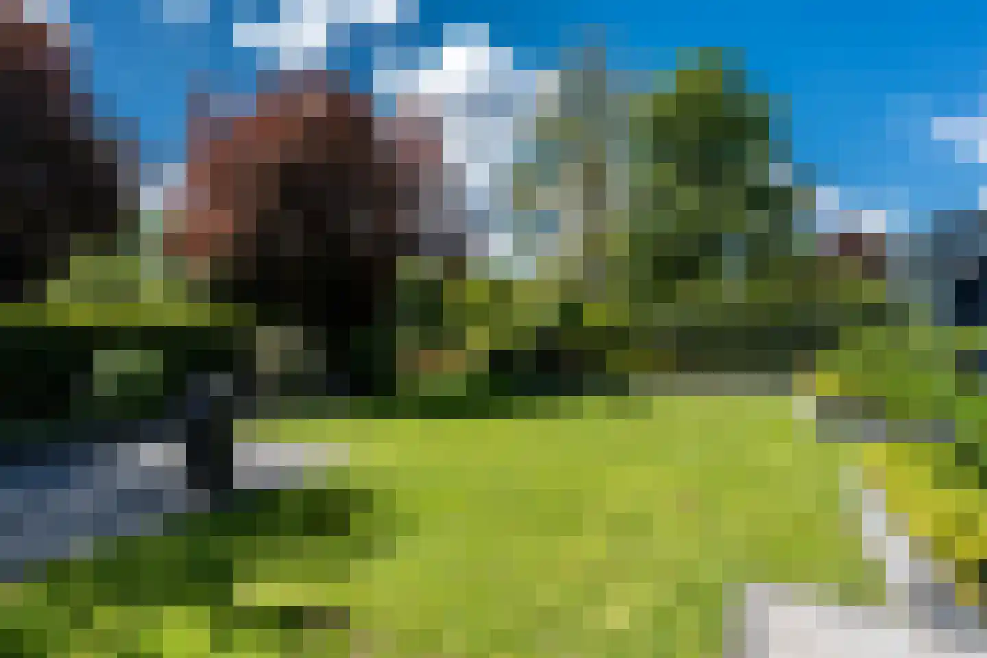 Reider AE 1 Veendam thumbnail 42