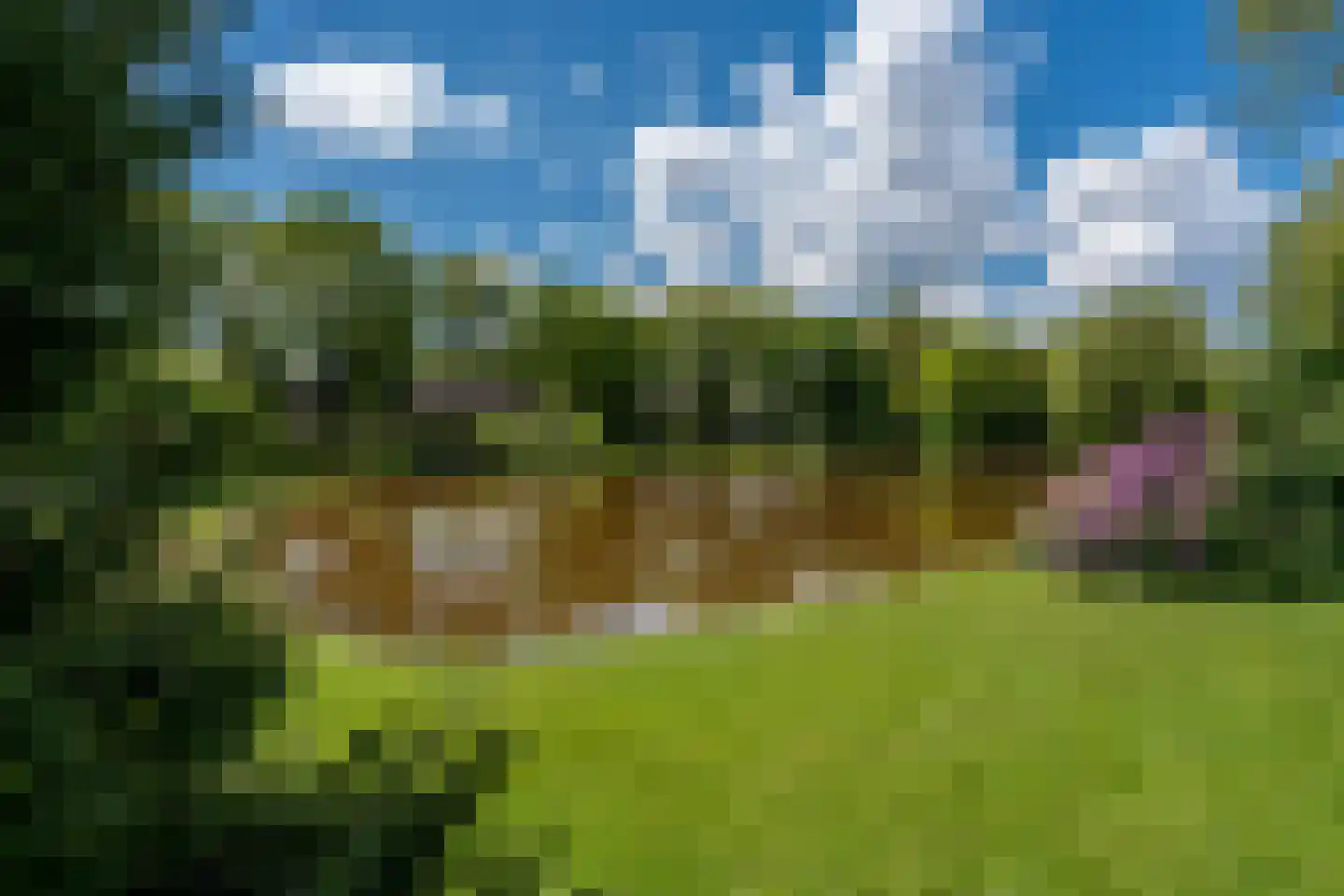 Reider AE 1 Veendam thumbnail 47