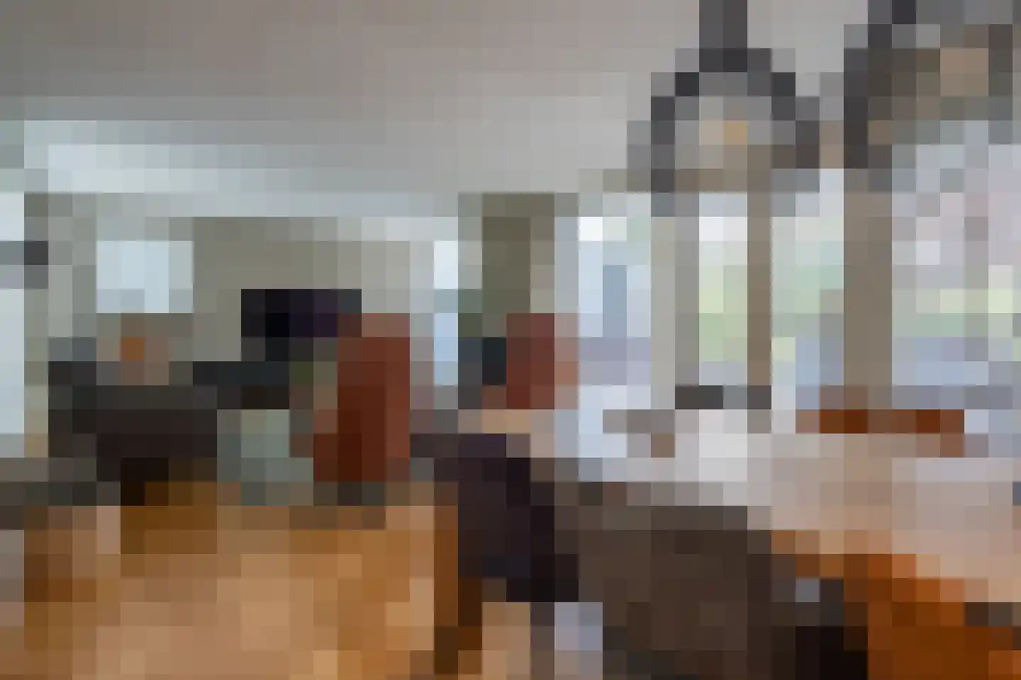 Reider AE 1 Veendam thumbnail 5