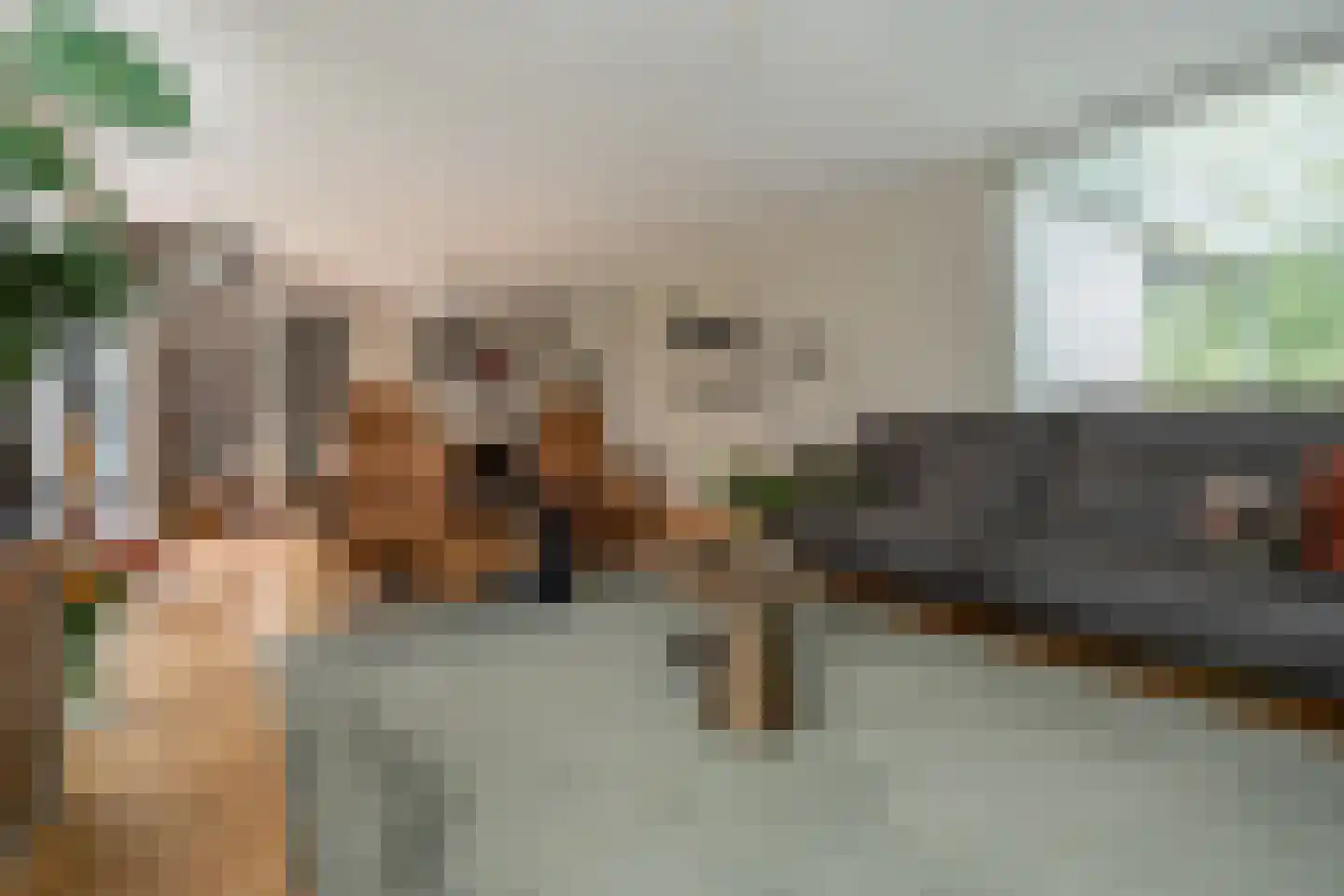 Reider AE 1 Veendam thumbnail 6