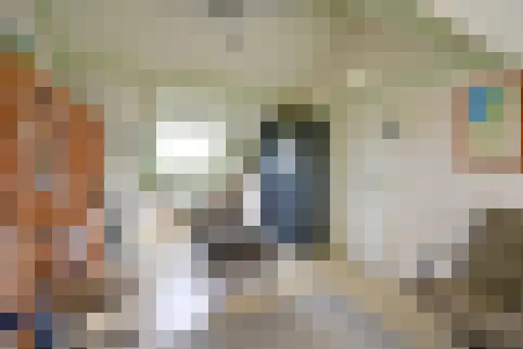 Reiderland 16 Huizen thumbnail 12
