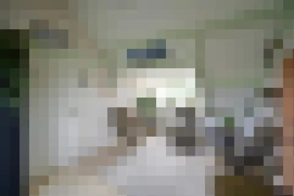 Reiderland 16 Huizen thumbnail 13