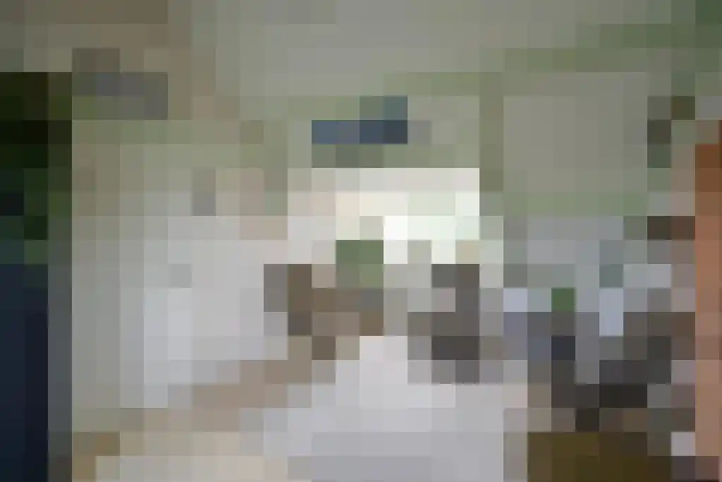 Reiderland 16 Huizen thumbnail 13