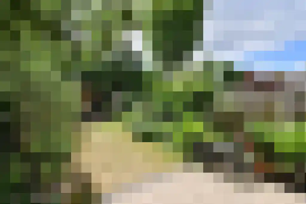 Reiderland 16 Huizen thumbnail 15