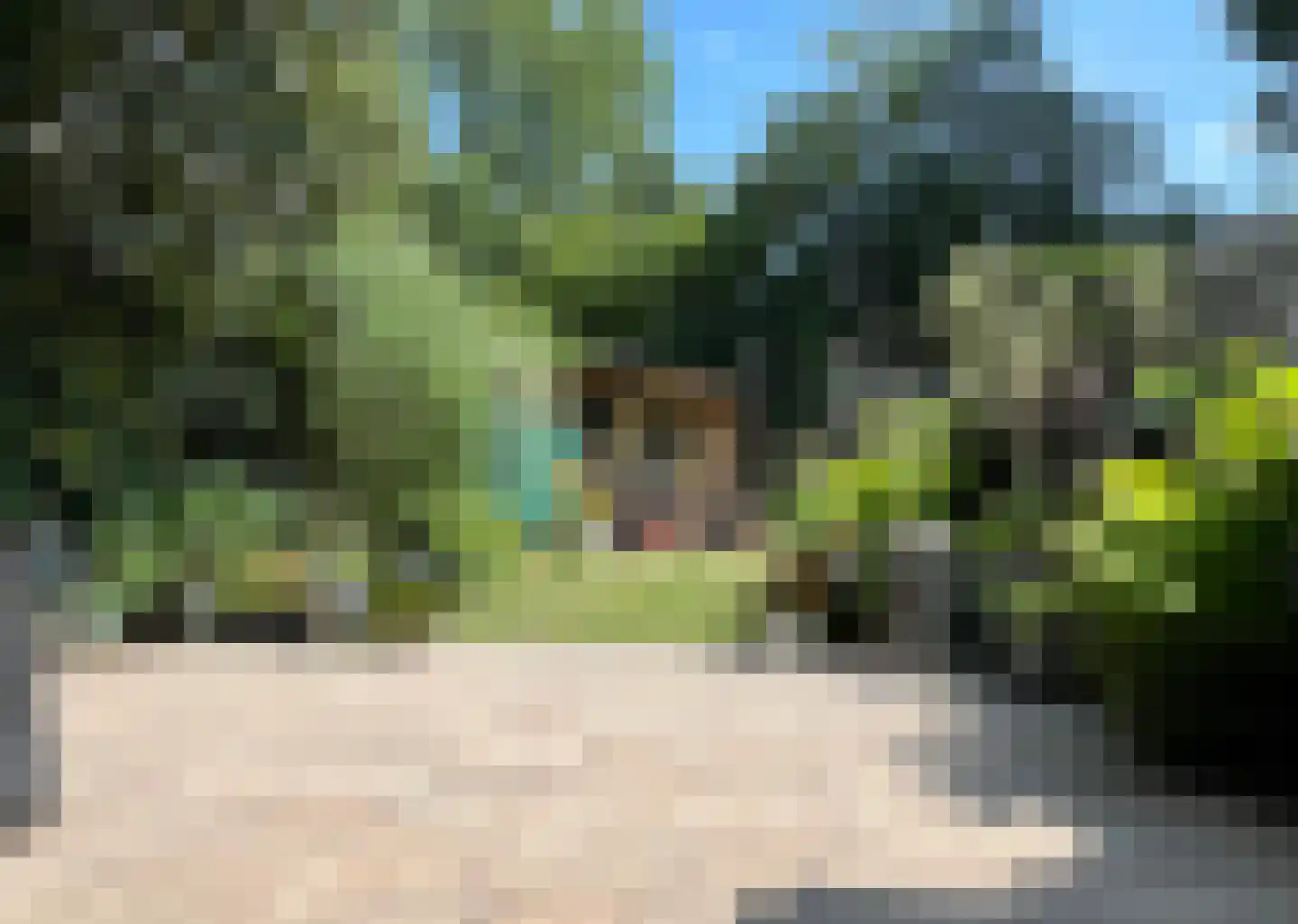 Reiderland 16 Huizen thumbnail 15