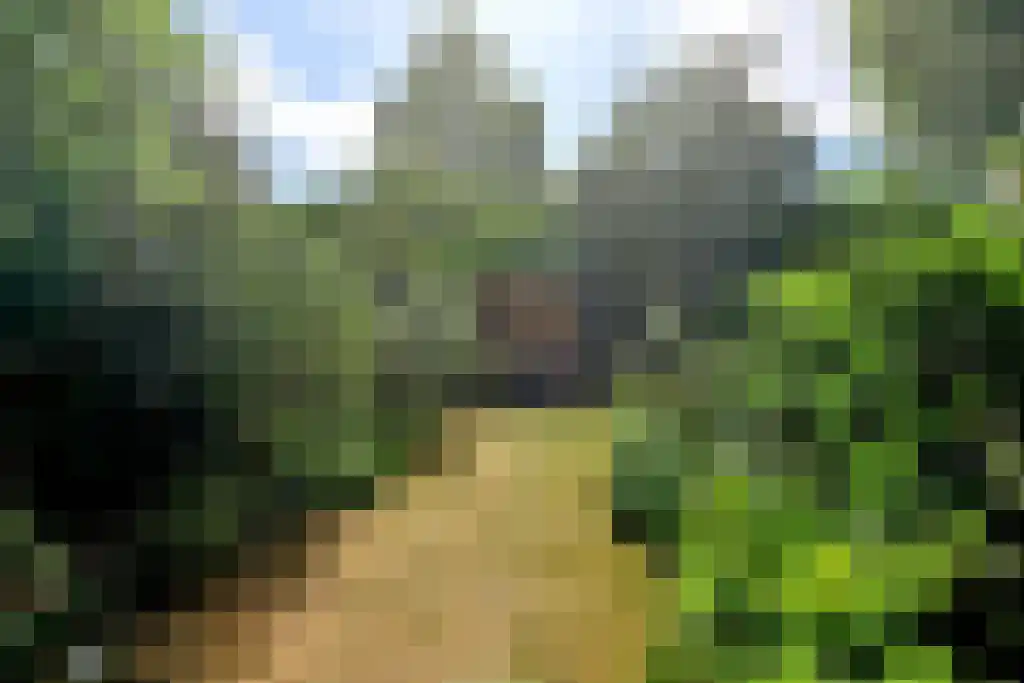 Reiderland 16 Huizen thumbnail 16