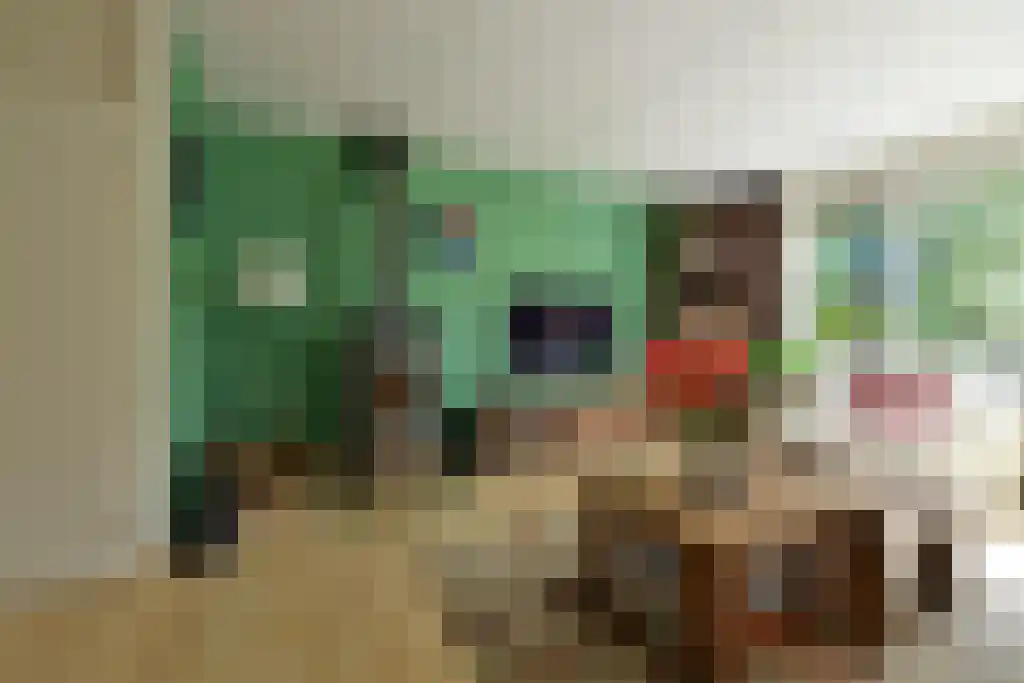 Reiderland 16 Huizen thumbnail 4