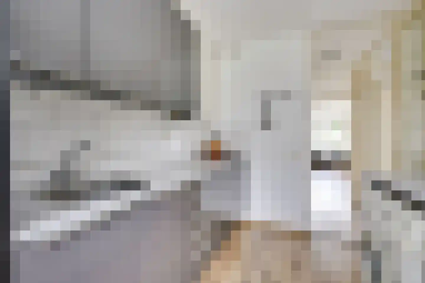 Reiderland 16 Utrecht thumbnail 17
