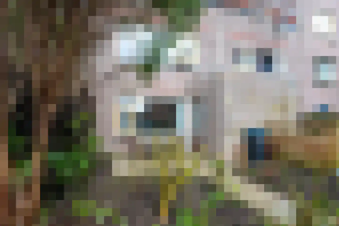 Reiderland 16 Utrecht thumbnail 29