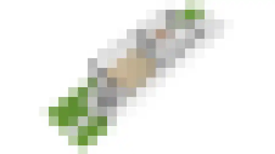 Reiderland 16 Utrecht thumbnail 39