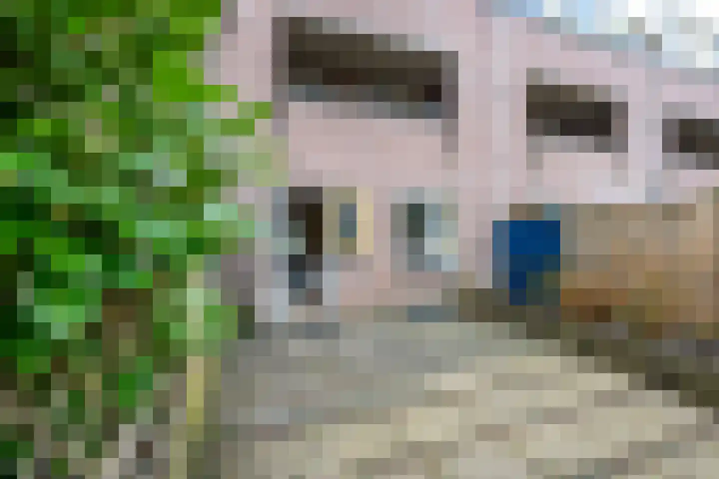 Reiderland 16 Utrecht thumbnail 4