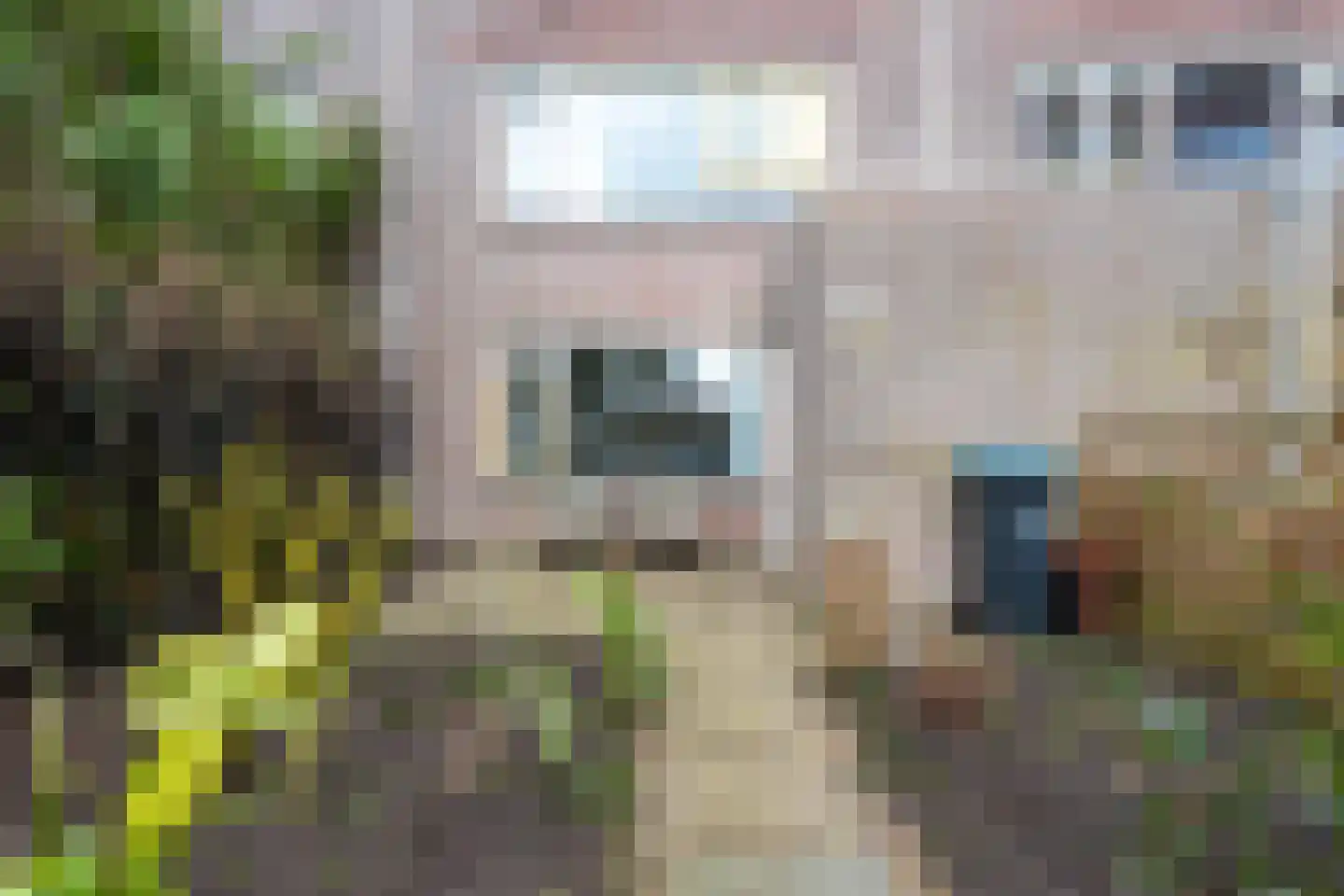 Reiderland 16 Utrecht thumbnail 5