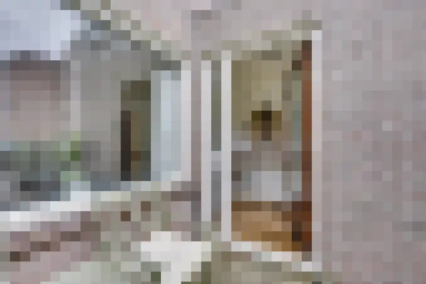 Reiderland 16 Utrecht thumbnail 8