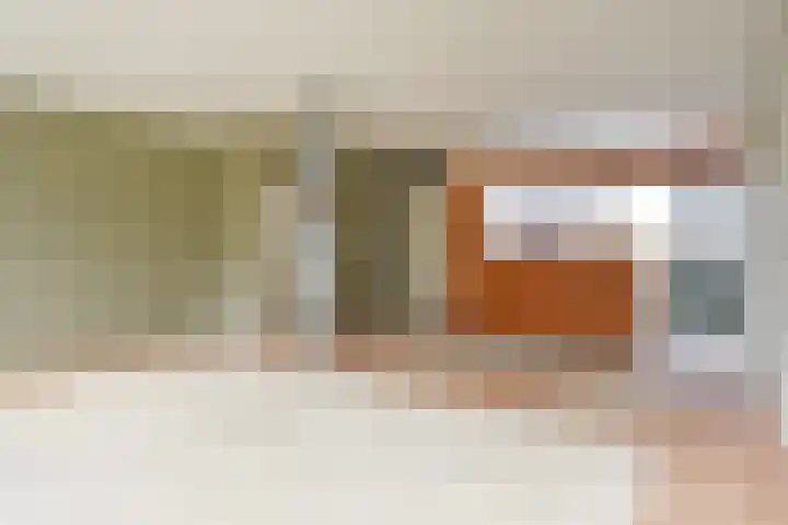 Reiderland 2 Zoetermeer thumbnail 14