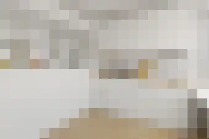 Reiderland 2 Zoetermeer thumbnail 16