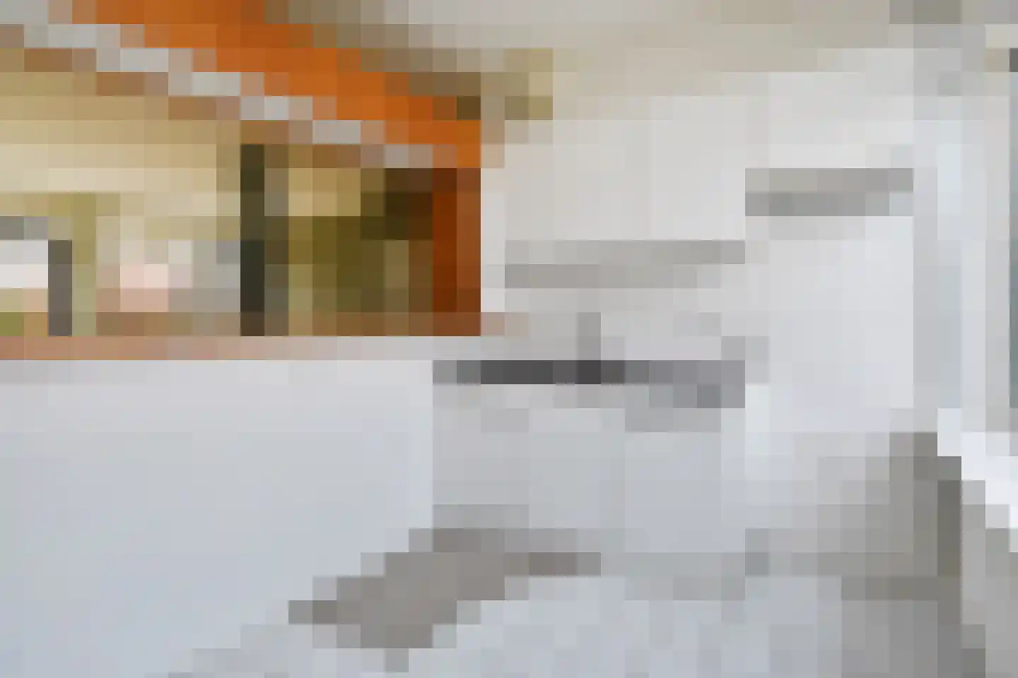 Reiderland 2 Zoetermeer thumbnail 17