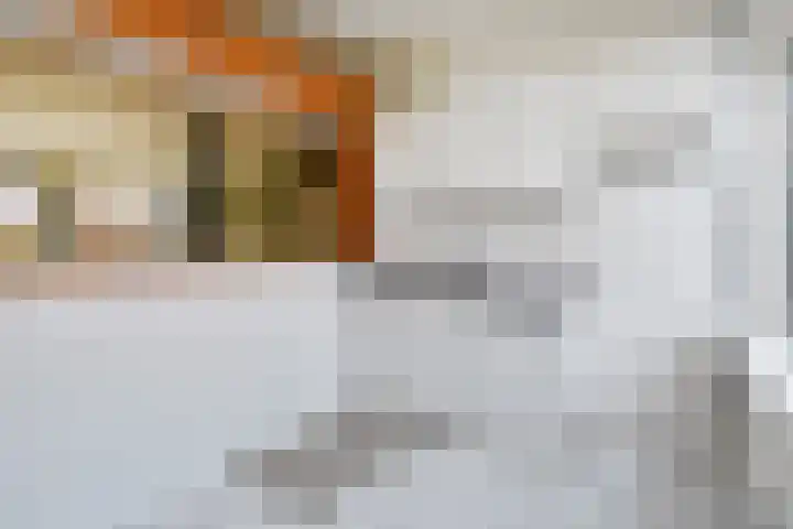 Reiderland 2 Zoetermeer thumbnail 17