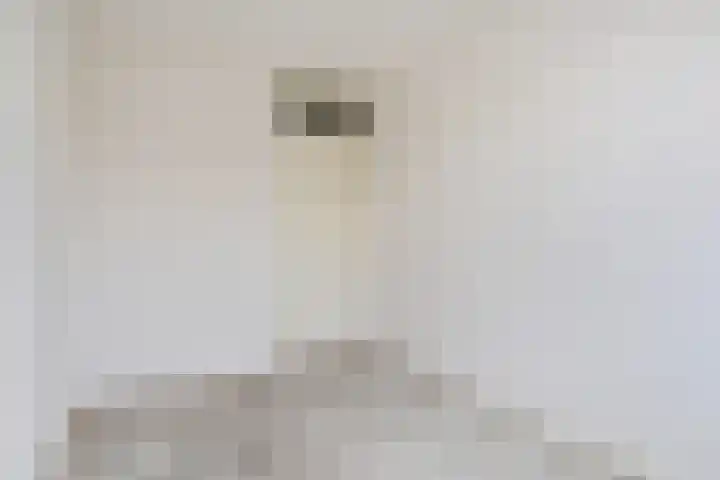 Reiderland 2 Zoetermeer thumbnail 21