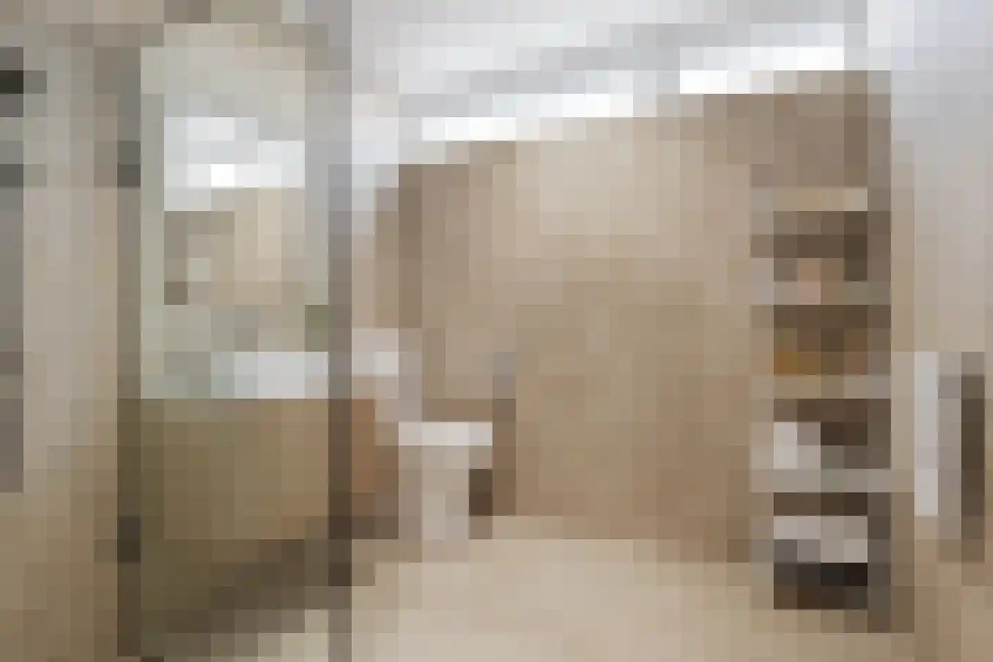 Reiderland 2 Zoetermeer thumbnail 26