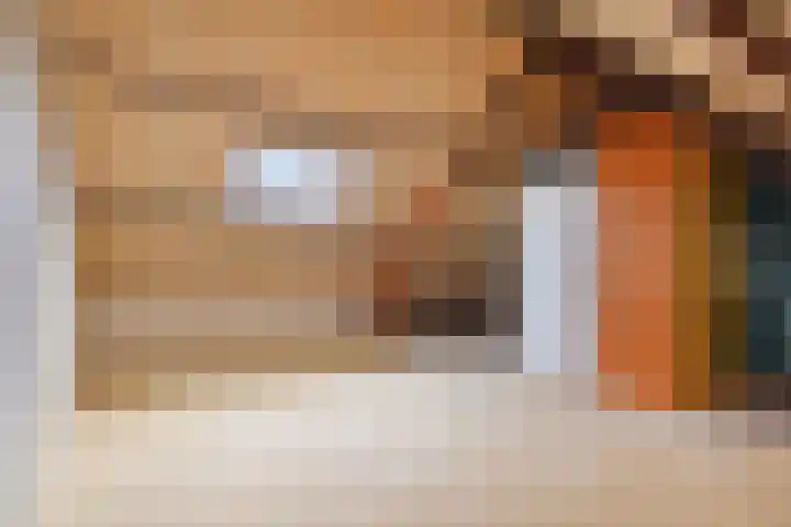Reiderland 2 Zoetermeer thumbnail 31