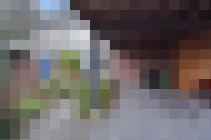 Reiderland 2 Zoetermeer thumbnail 4